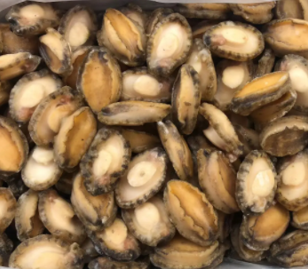 【食品进口】海参、鲍鱼等海味干货报关指南