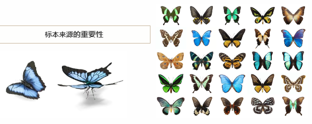 蝴蝶.png