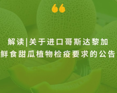 政策解读 | 进口哥斯达黎加鲜食甜瓜植物检疫要求