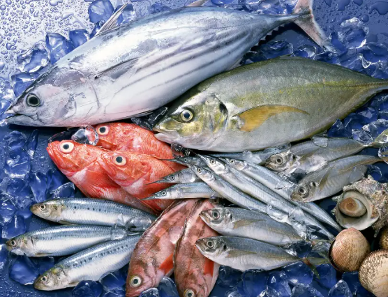 政策解读｜海关总署关于进口也门野生水产品检验和卫生要求的公告