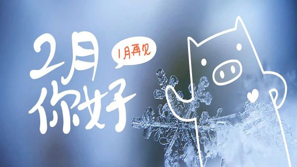 2月，这些海关政策快来看！